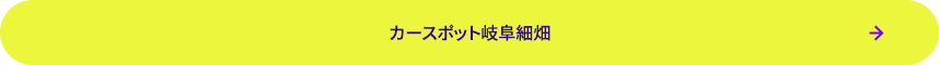 カースポット岐阜細畑